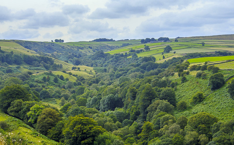 Bretton Clough Bretton Clough